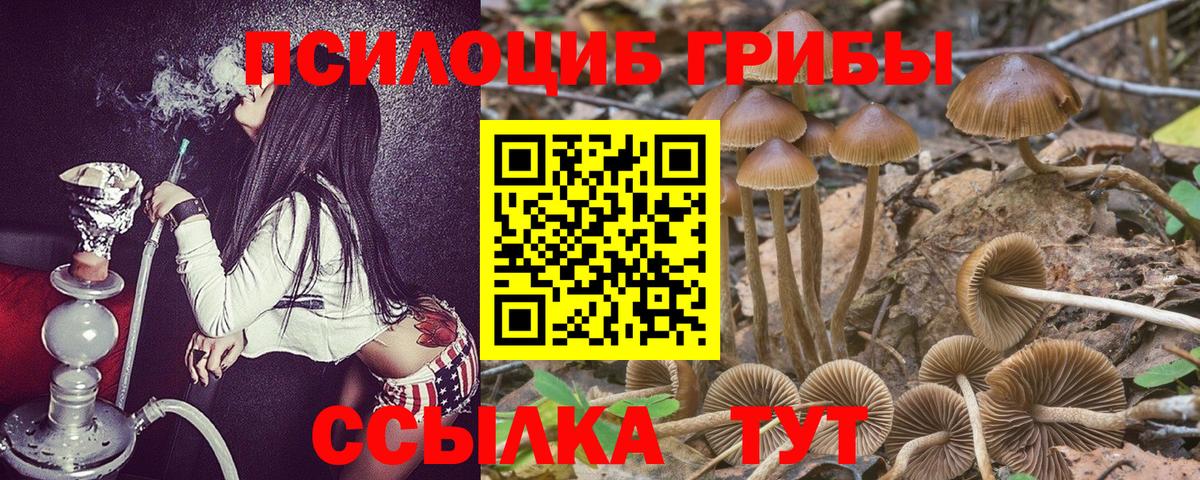 Галлюциногенные грибы Magic Shrooms  Вход с VPN  Отрадное 