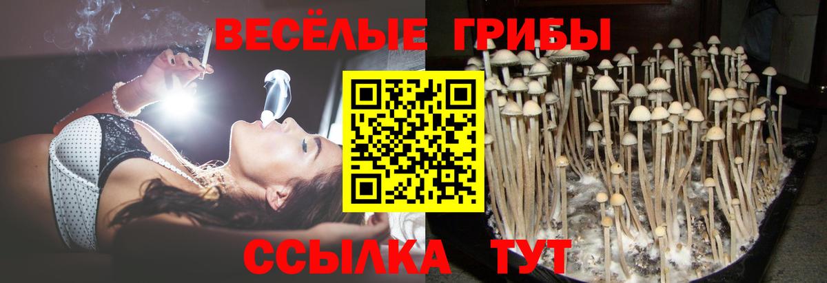 Псилоцибиновые грибы мухоморы Отрадное
